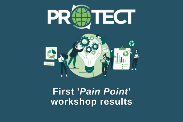 5 CHALLENGES IDENTIFIED IN THE PAIN POINT WORKSHOPS