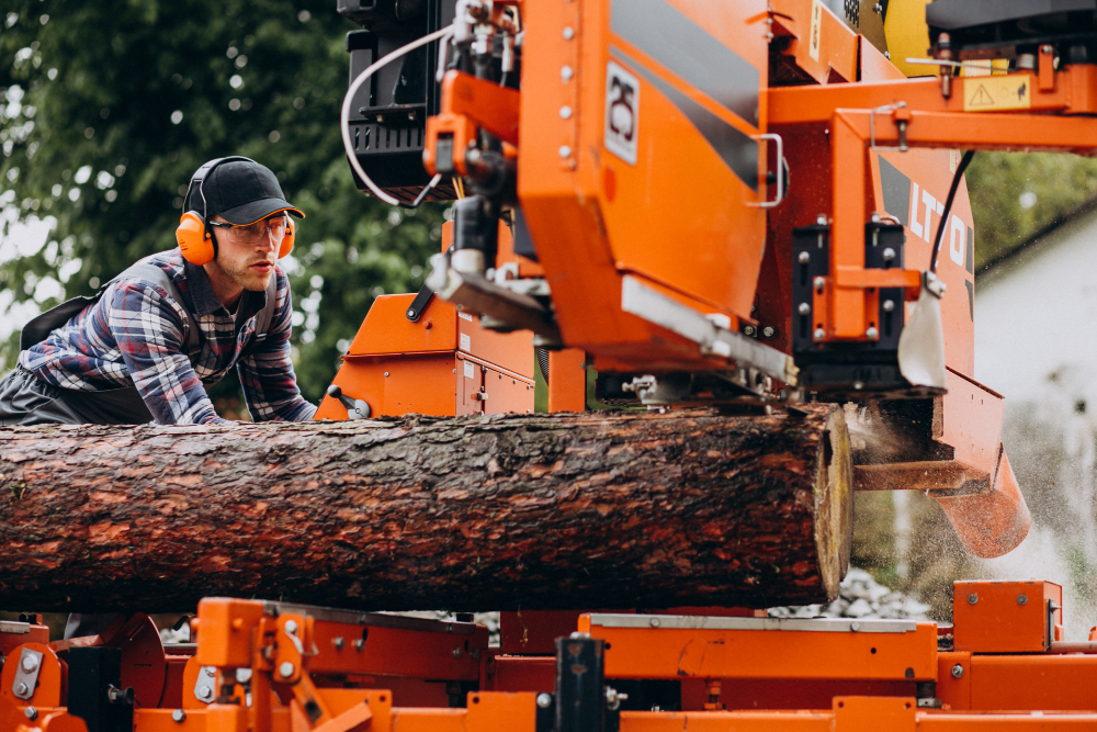 Forestry with the help of Earth observation (image by enivpetro on Freepik)